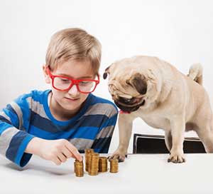boy and dog counting money to deposit into his Smart Savers Account