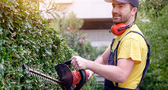 seasonal worker running his business