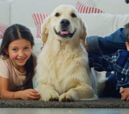 family with dog