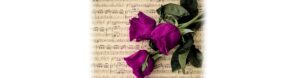Romance and investment scam